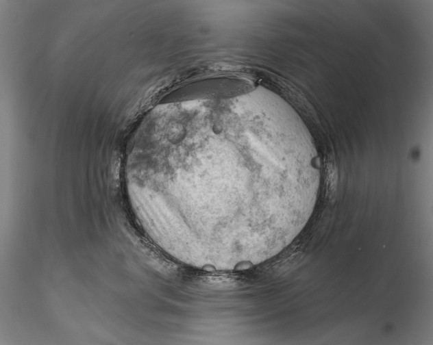 X0000115590668200912011504