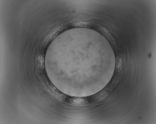 X0000115590669200912011504