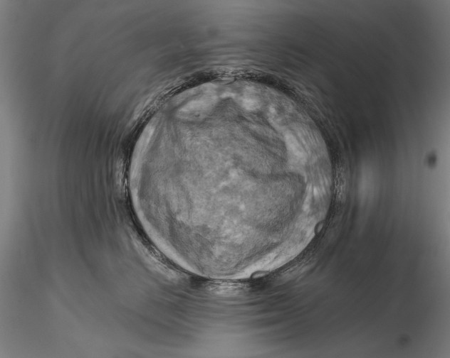 X0000115590670200912011504