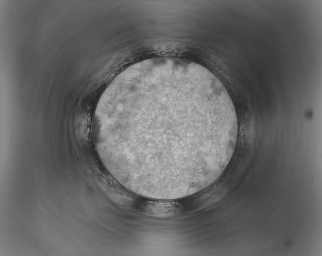 X0000115590671200912011504