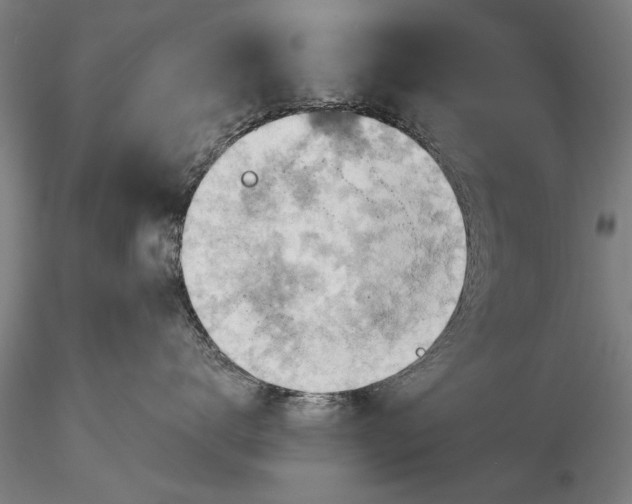 X0000115590672200912011504