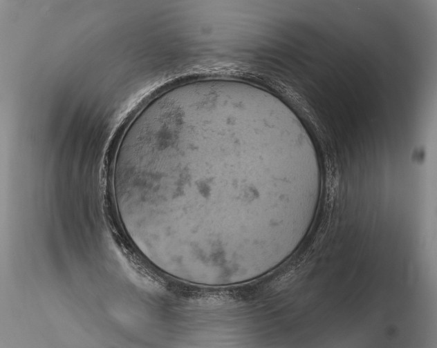 X0000115590674200912011504