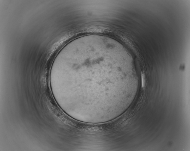 X0000115590675200912011504