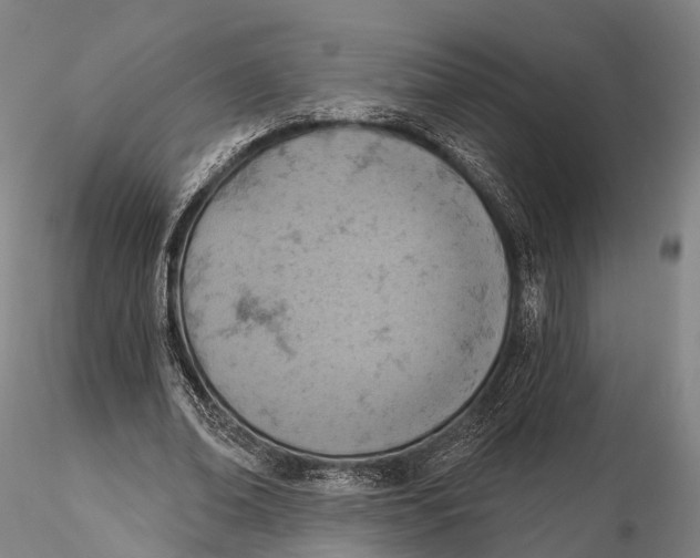 X0000115590678200912011504