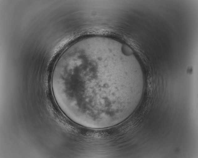 X0000115590679200912011504