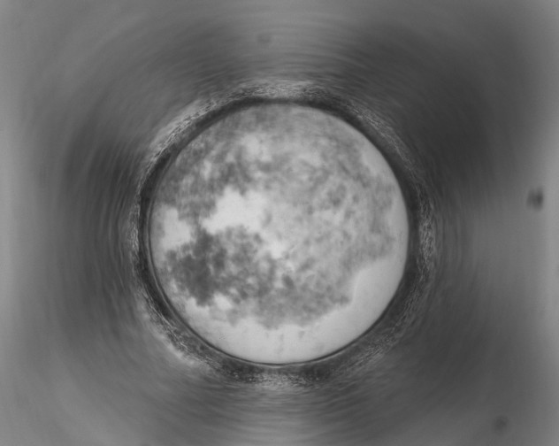 X0000115590682200912011504