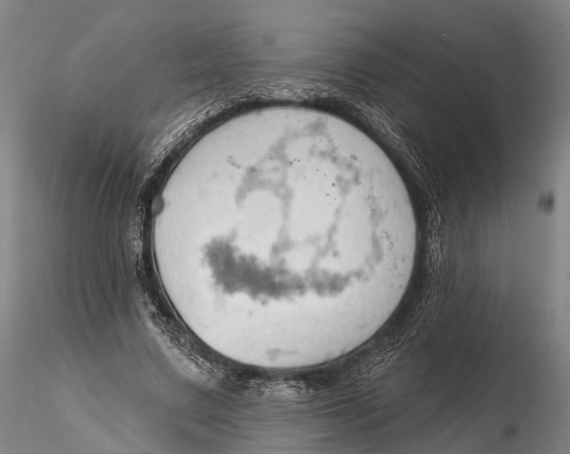 X0000115590683200912011504