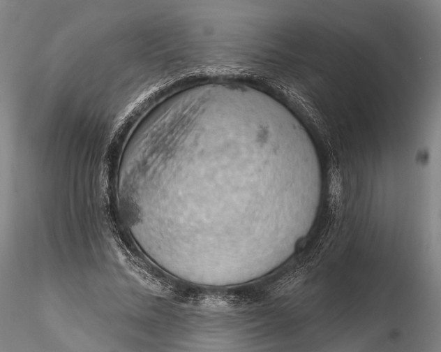 X0000115590684200912011504
