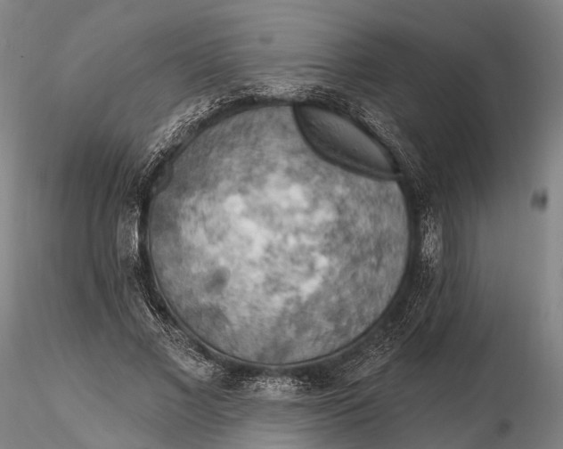 X0000115590685200912011504