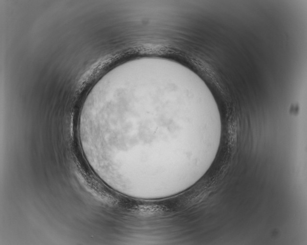 X0000115590686200912011504