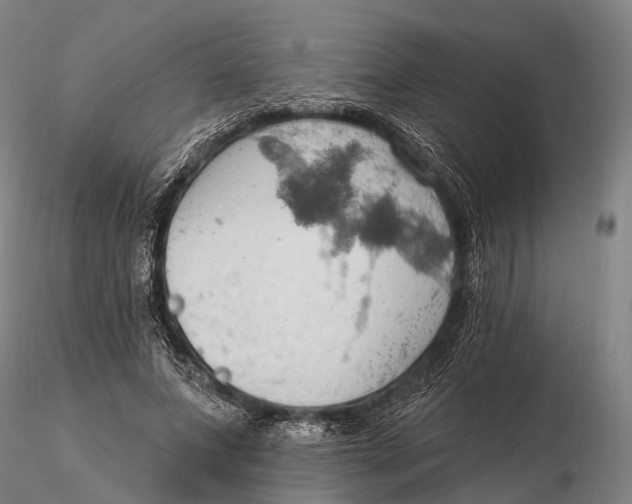X0000115590687200912011504