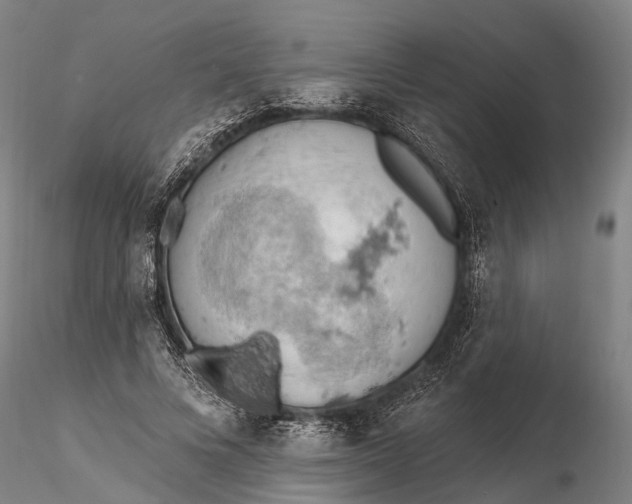 X0000115590688200912011504
