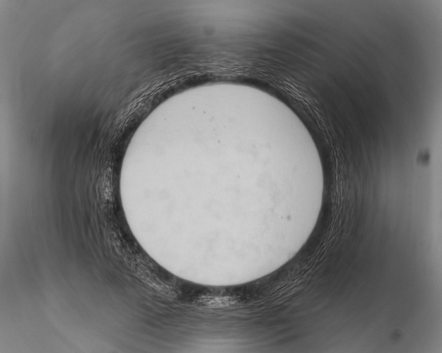 X0000115590689200912011504