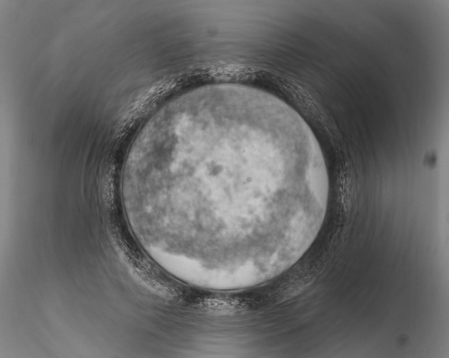 X0000115590690200912011504