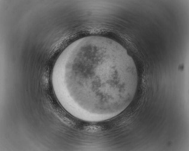 X0000115590691200912011504