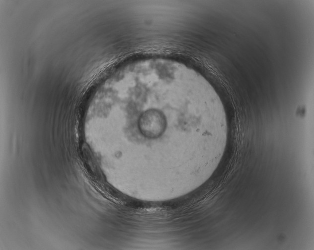 X0000115590692200912011504