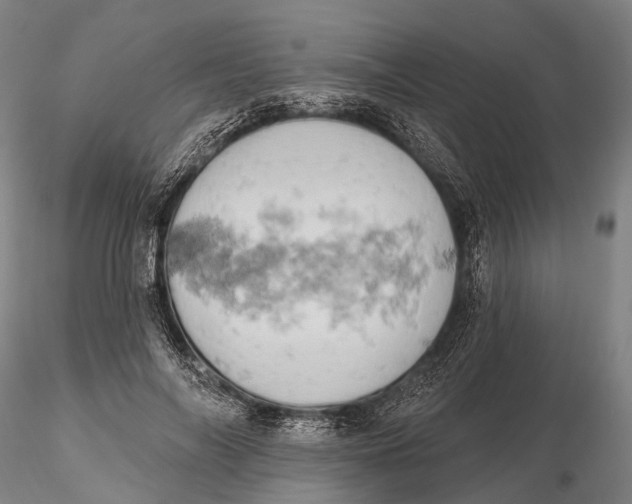 X0000115590694200912011504