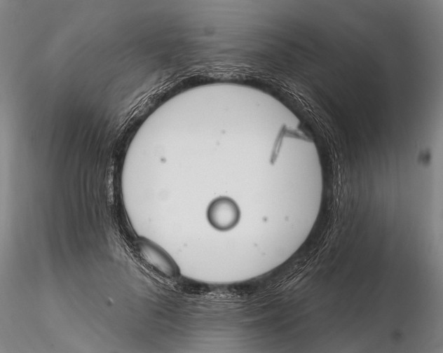 X0000115590696200912011504