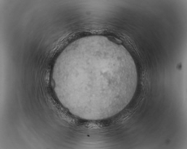X0000115590697200912011503