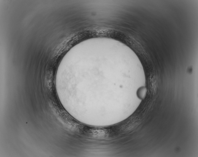 X0000115590698200912011503