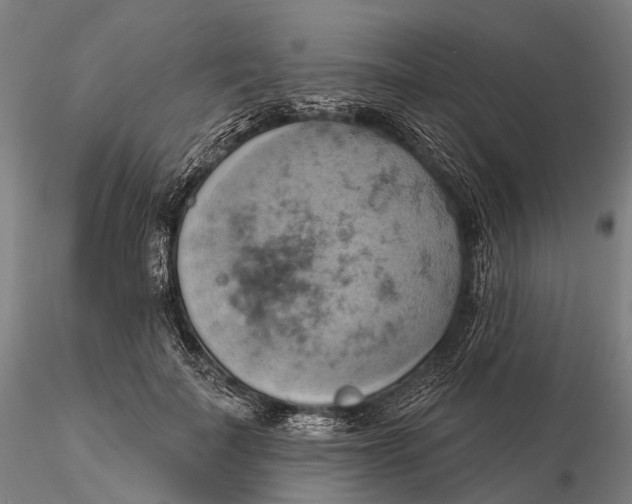 X0000115590699200912011503