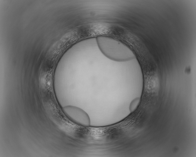 X0000115590701200912011503