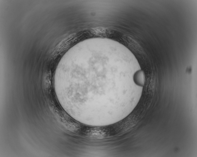 X0000115590702200912011503