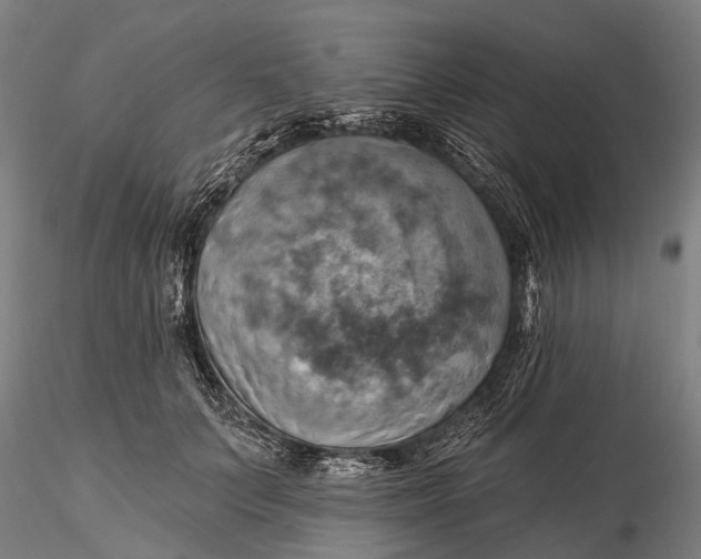 X0000115590703200912011503