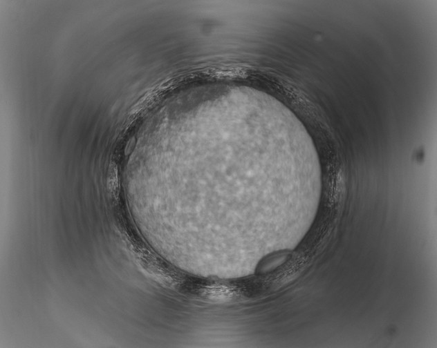 X0000115590704200912011503