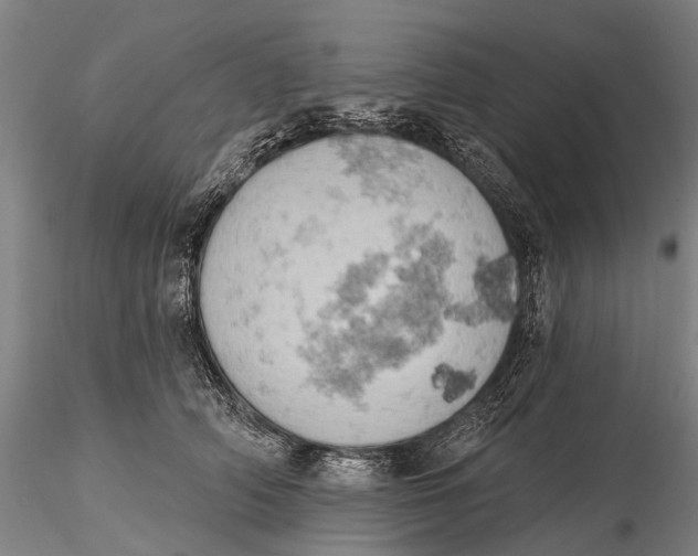 X0000115590706200912011503