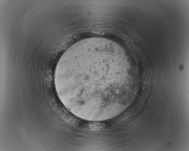 X0000115590707200912011503