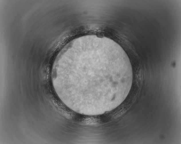 X0000115590708200912011503