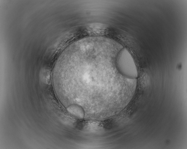 X0000115590709200912011503
