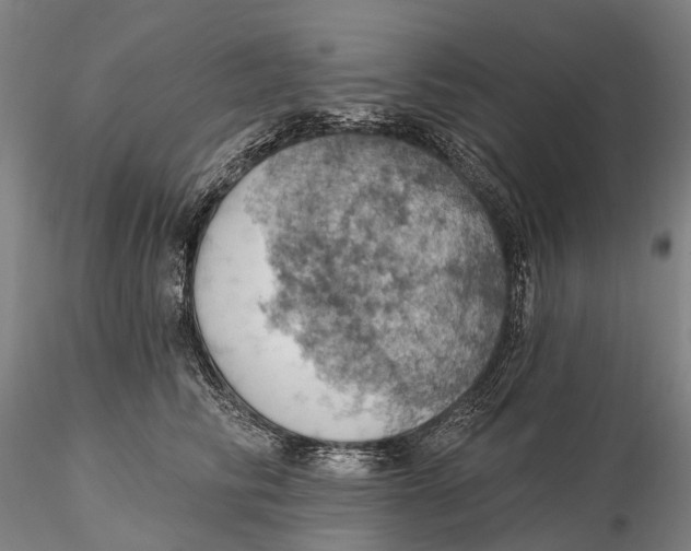X0000115590710200912011503