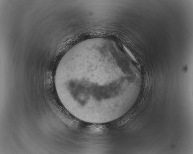 X0000115590711200912011503