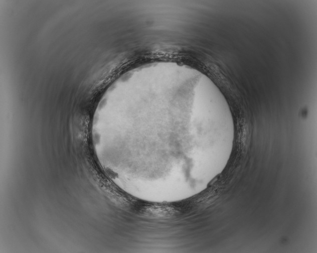 X0000115590712200912011503