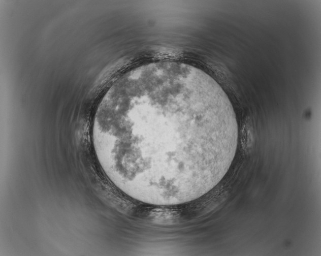 X0000115590714200912011503