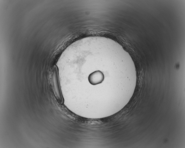 X0000115590716200912011503