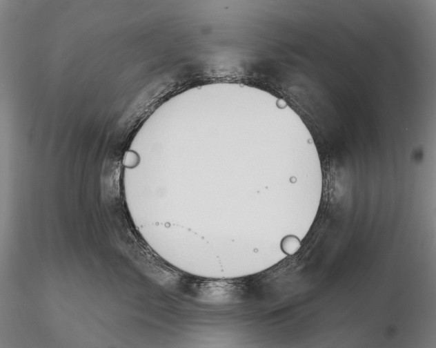 X0000115590717200912011503