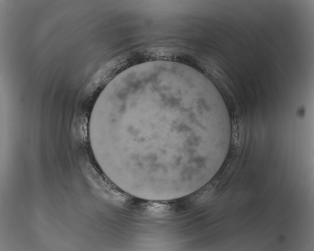 X0000115590718200912011503