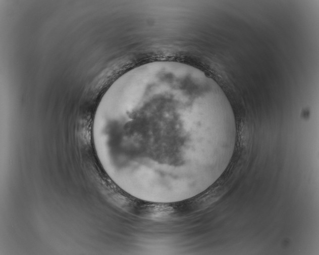 X0000115590719200912011503