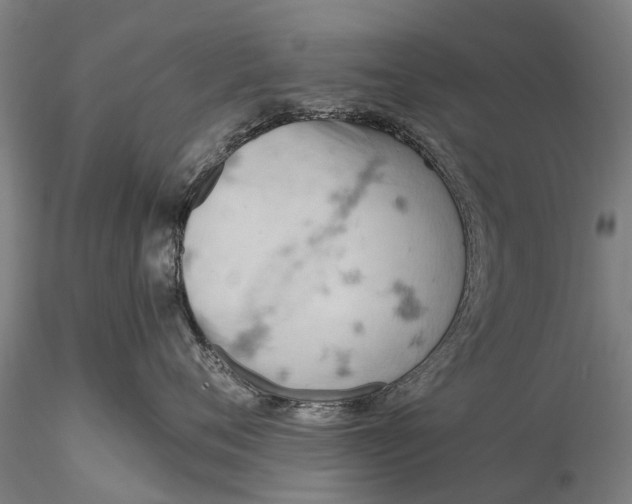 X0000115590720200912011503