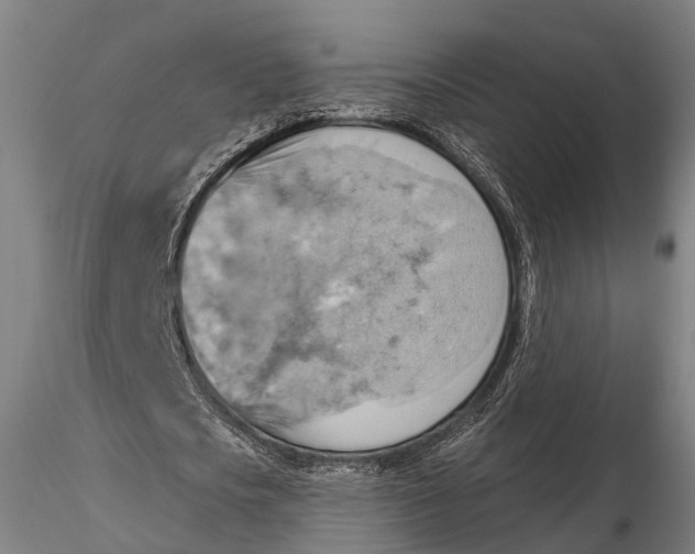 X0000115590721200912011502