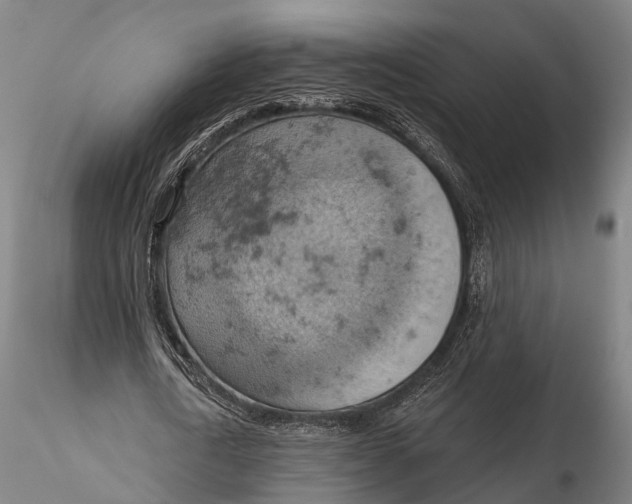 X0000115590722200912011502