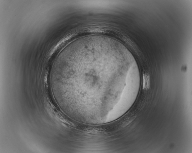 X0000115590723200912011502