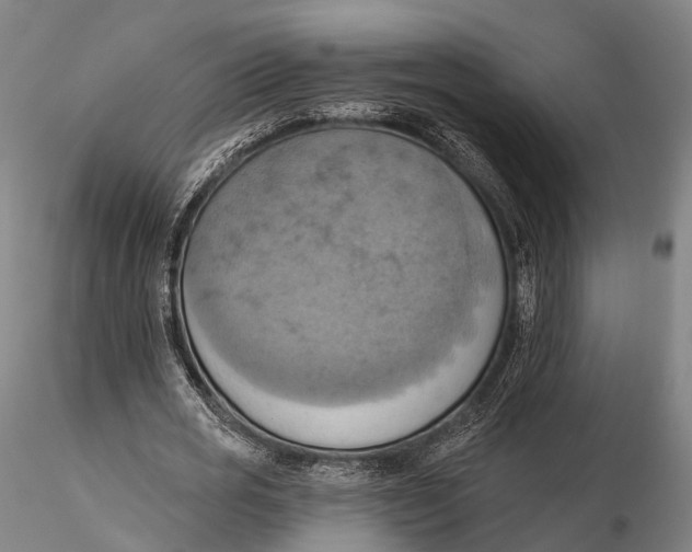 X0000115590725200912011502