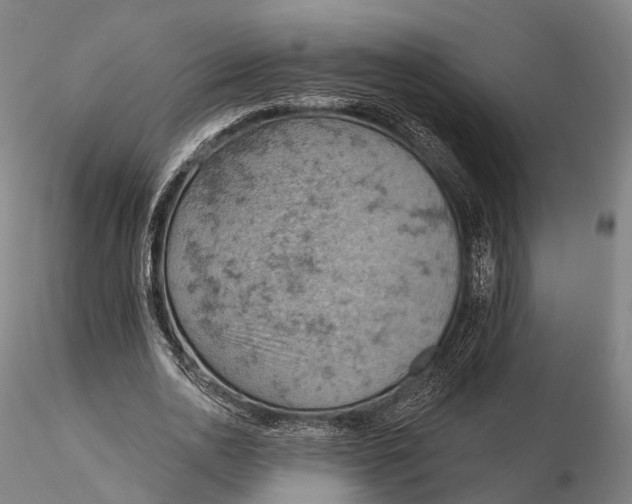 X0000115590726200912011502