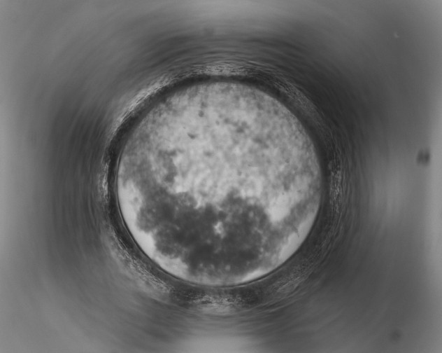 X0000115590727200912011502
