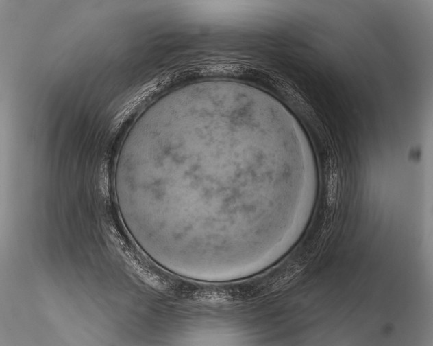 X0000115590729200912011502