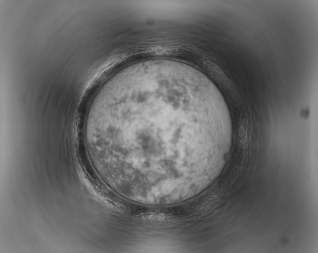 X0000115590730200912011502